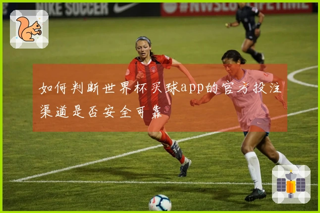 如何判断世界杯买球app的官方投注渠道是否安全可靠