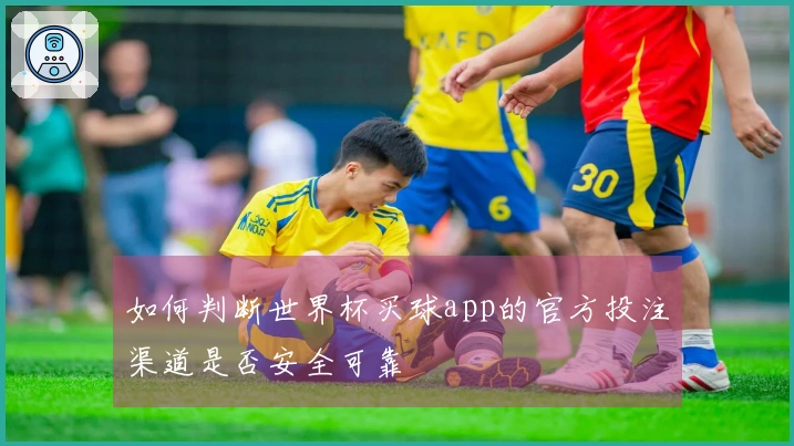 如何判断世界杯买球app的官方投注渠道是否安全可靠